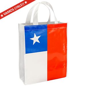 Eco Flag Medium Bag 25 x 30 x 8 cm.