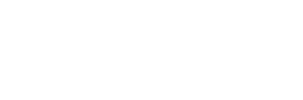 Logo-Turbus