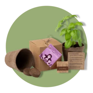 Productos Ecológicos