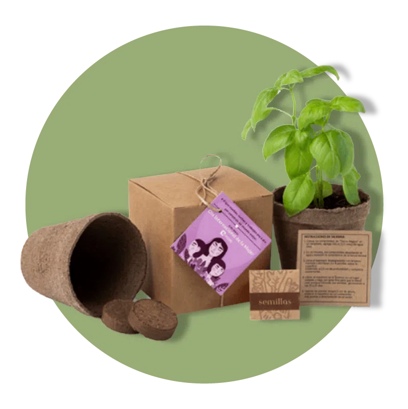 Regalos Ecológicos